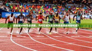 新加坡VPN节点详解，为何它成为亚洲网络连接的关键枢纽？