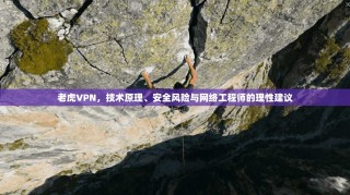 老虎VPN，技术原理、安全风险与网络工程师的理性建议