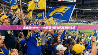 企业级Server VPN部署与安全优化策略详解