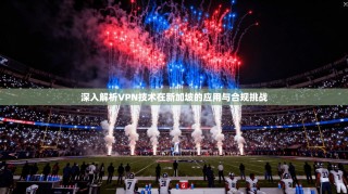 深入解析VPN技术在新加坡的应用与合规挑战