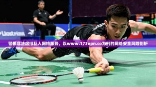 警惕非法虚拟私人网络服务，以www.173vpn.co为例的网络安全风险剖析