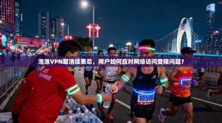 泡泡VPN取消续费后，用户如何应对网络访问受限问题？