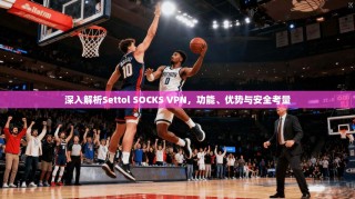 深入解析Settol SOCKS VPN，功能、优势与安全考量