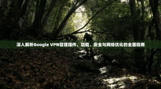 深入解析Google VPN管理插件，功能、安全与网络优化的全面指南