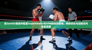 在CentOS系统中配置TeamViewer与VPN的协同使用，网络优化与远程访问安全实践