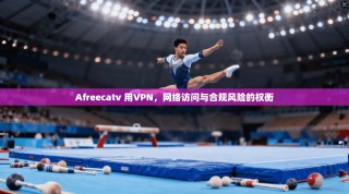 Afreecatv 用VPN，网络访问与合规风险的权衡