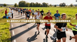 深入解析MPLS VPN体系结构卷一，构建高效、安全的企业级网络服务