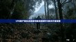 VPN客户端无法连接问题深度解析与解决方案指南