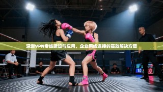 深圳VPN专线建设与应用，企业网络连接的高效解决方案