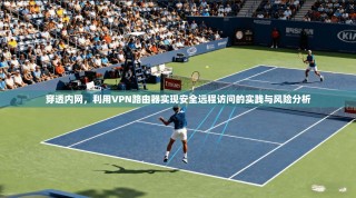 穿透内网，利用VPN路由器实现安全远程访问的实践与风险分析