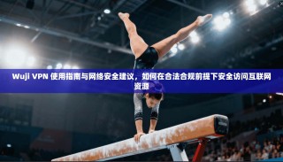 Wuji VPN 使用指南与网络安全建议，如何在合法合规前提下安全访问互联网资源