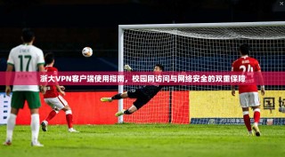 浙大VPN客户端使用指南，校园网访问与网络安全的双重保障