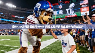 猫咪App为何需要使用VPN？网络工程师的专业解析与安全建议