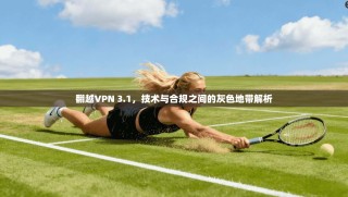 翻越VPN 3.1，技术与合规之间的灰色地带解析