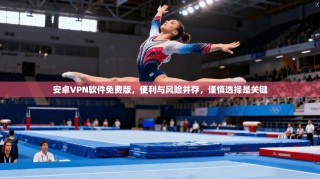 安卓VPN软件免费版，便利与风险并存，谨慎选择是关键