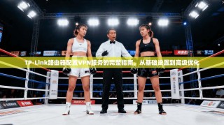 TP-Link路由器配置VPN服务的完整指南，从基础设置到高级优化