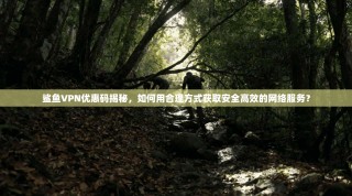 鲨鱼VPN优惠码揭秘，如何用合理方式获取安全高效的网络服务？