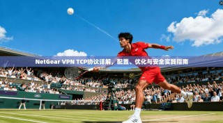 NetGear VPN TCP协议详解，配置、优化与安全实践指南