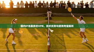 国内IP池最多的VPN，技术优势与使用考量解析