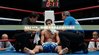 马车8 VPN，网络匿名与安全的双刃剑解析
