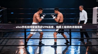 vivo手机如何安全开启VPN连接，网络工程师的详细指南