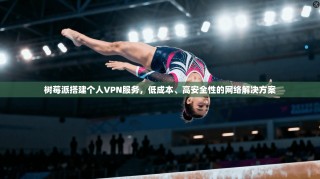 树莓派搭建个人VPN服务，低成本、高安全性的网络解决方案