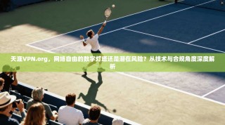 天涯VPN.org，网络自由的数字灯塔还是潜在风险？从技术与合规角度深度解析
