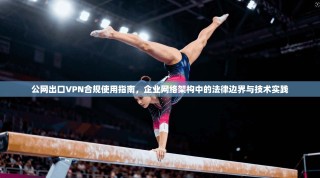 公网出口VPN合规使用指南，企业网络架构中的法律边界与技术实践