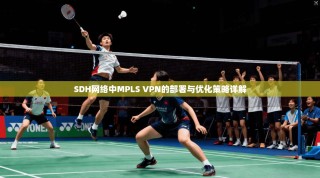 SDH网络中MPLS VPN的部署与优化策略详解