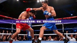 SSL VPN卸载全攻略，安全、彻底与后续配置指南