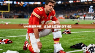 VPN集团网详解，企业安全互联的数字桥梁