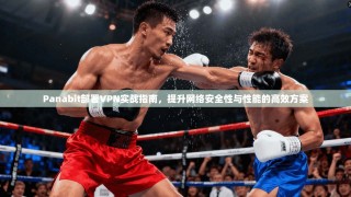 Panabit部署VPN实战指南，提升网络安全性与性能的高效方案