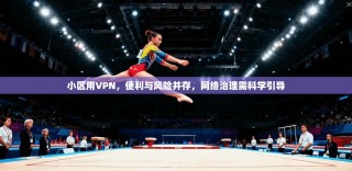 小区用VPN，便利与风险并存，网络治理需科学引导