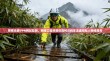 警惕无极VPN网站陷阱，网络工程师教你如何识别非法虚拟私人网络服务