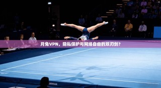 月兔VPN，隐私保护与网络自由的双刃剑？