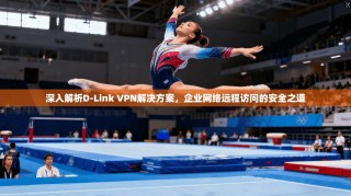 深入解析D-Link VPN解决方案，企业网络远程访问的安全之道