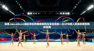 探索.sau.edu.cn域名背后的网络架构与安全机制—从VPN接入到高校教育网的实践