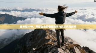虾米啦VPN，网络自由的便捷陷阱与真实风险解析