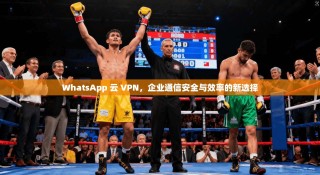 WhatsApp 云 VPN，企业通信安全与效率的新选择