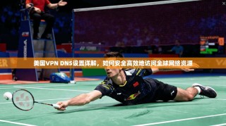 美国VPN DNS设置详解，如何安全高效地访问全球网络资源