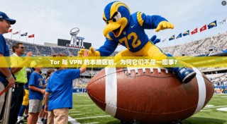 Tor 与 VPN 的本质区别，为何它们不是一回事？
