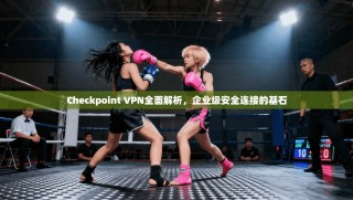 Checkpoint VPN全面解析，企业级安全连接的基石