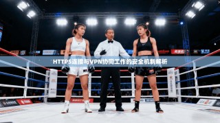 HTTPS连接与VPN协同工作的安全机制解析