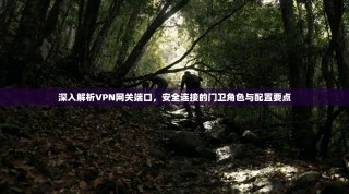 深入解析VPN网关端口，安全连接的门卫角色与配置要点