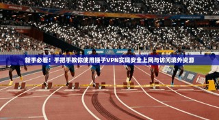 新手必看！手把手教你使用锤子VPN实现安全上网与访问境外资源