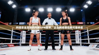 构建安全高效的内网VPN服务，企业网络通信的可靠桥梁