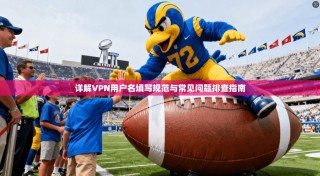 详解VPN用户名填写规范与常见问题排查指南