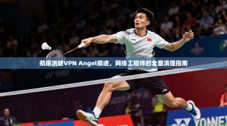 彻底消除VPN Angel痕迹，网络工程师的全面清理指南