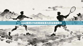 Seed使用VPN的网络配置与安全策略解析