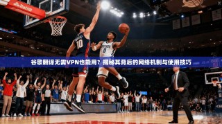 谷歌翻译无需VPN也能用？揭秘其背后的网络机制与使用技巧